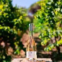 CHATEAUMINUTYROSEETOR.webp